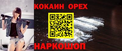 гидропоника Камышлов