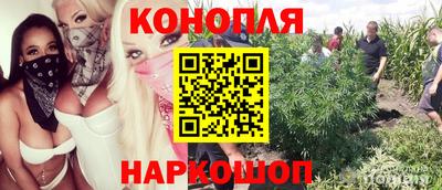гидропоника Камышлов